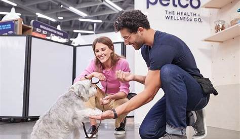 Обучение щенка Petco стоит сколько стоит собака? вот что делать дальше