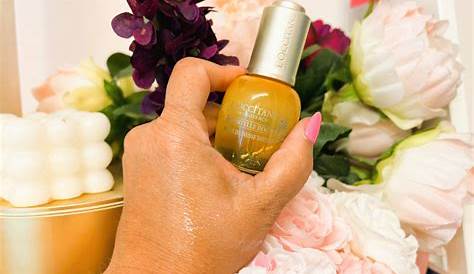 Qvc Todays Special Valueindex Html Брендирование Сегодняшняя стоимость Брайан Адамс