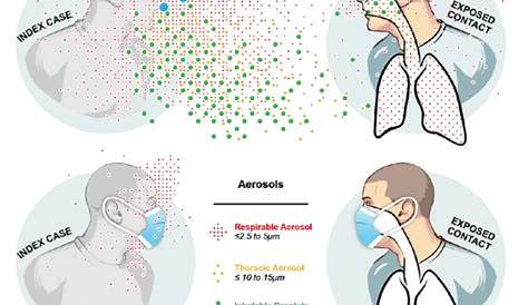 Вещества, находящиеся в воздухе, должны быть разбавлены масками, которые эффективны для снижения первичной передачи Covid19.