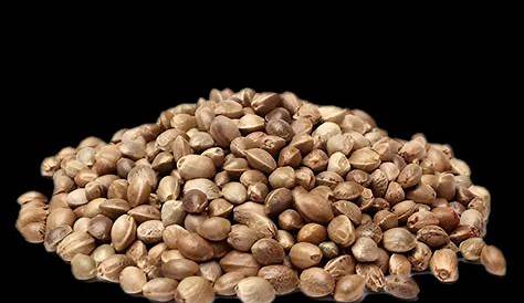 Ilgm Germination Guide Купить семена Lsd Гарантированный U Доставка и