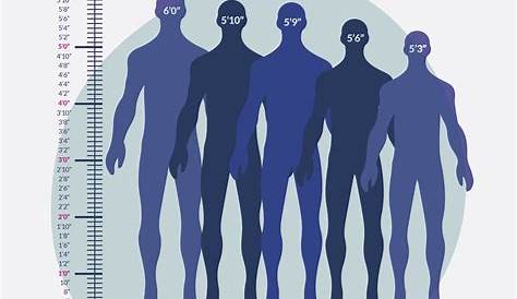 Средний рост вьетнамского мужчины среди населения увеличивает блог