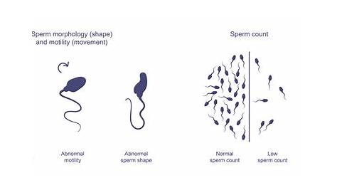 Есть ли у спермы клейковина здоровая Dtap клиника