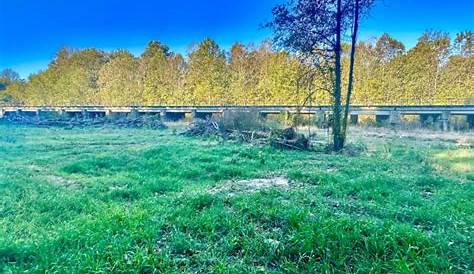 Tn Hunting Clubs Southern Hunt Club Мемфис Теннесси Редакционный фото