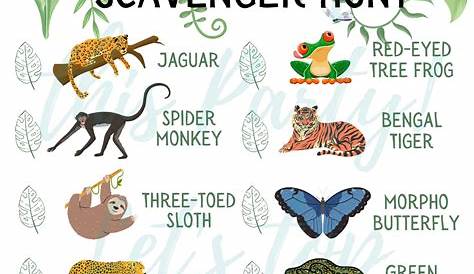 В тропических тропических лесах: какие животные есть в лесу?