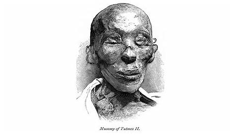 Как умер король Тутмос II, мумия из гробницы R