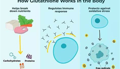 Может ли глутатион вызывать беспокойство оптимальное здоровье и почему он помогает