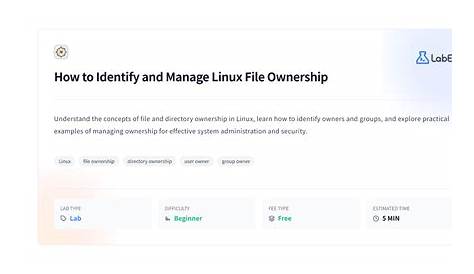 9.4.10 Управление файлами Linux как определить и использовать Labex