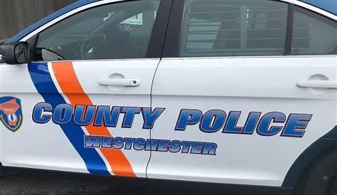 Вестчестер Ни полиция Блотер 2 миллиона приз обман подозрительный инцидент уборщика дома больше горы