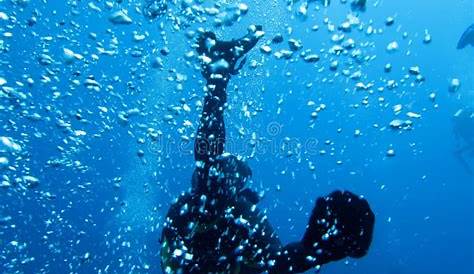 Летучее крыло Коралловый остров Кангрехо Дель Дель Фото Де Арчиво Изображение Де Замбуллидор