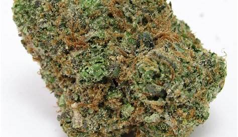 Все Bud Grapefruit Zlushiez Marijuana Strain Информация и отзывы