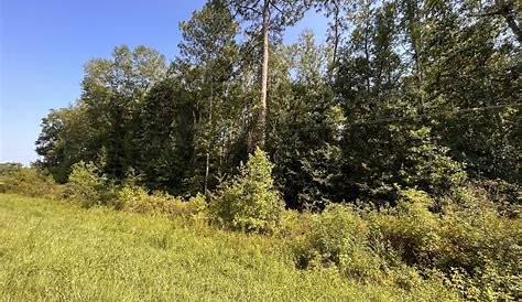 Landwatch Washington Hillsboro County или неразработанная земля для продажи недвижимости