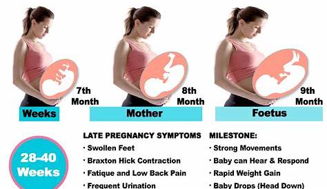 Беременность в хулигане: чего ожидать в третьем триместре беременности?