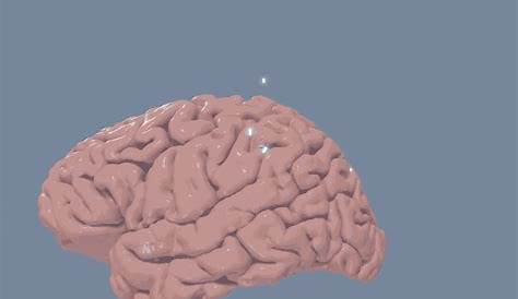 Магия ума: если вы визуализируете невысказанные слова, 42 изображения растопят мозг