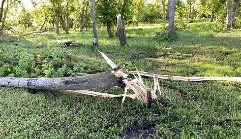 East Lansing Power откажется от восстановительных работ в регионе, которые, как ожидается, будут продолжаться