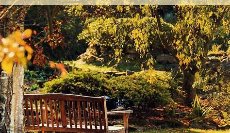 T W Парки Некролог Карьера Подробные фасилии и различия Колониальная часовня Пеория Ил