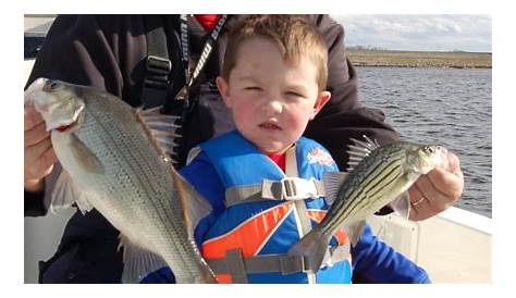 Сет Вановер Лонгвью Как поймать зимнюю белую с Hppr