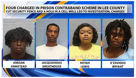 Ли Каунти арестовал Lcso после того, как Lehigh Acres Drug Raid Wink объявил о более чем 30 арестах