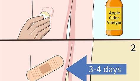 Видео с обратной кистой 4 способа удалить A на вашем вики-шоу