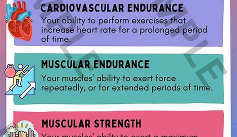 Fitness Quiz Quizlet описывает компоненты здоровья