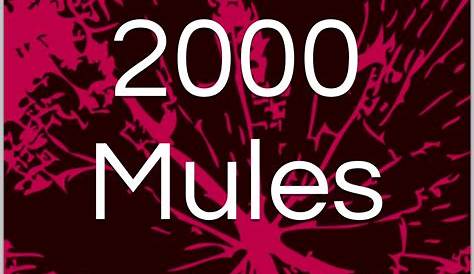 2000 Мулов Как смотреть трекинг Гид Самый популярный и самый популярный