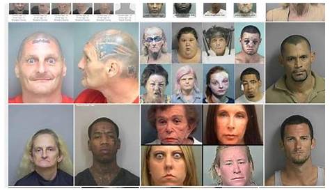 Арест и муггшоты в округе Оушен скоро в тюрьме Nj Mate Search Roster &