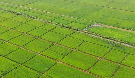 %e4%b88%80%e4%ba%a9%e4%b88%89%e5%88%86%e5%9c%b0%e4%ba%9a%e9%ba%bb Efbd9be78ea9e581b6e985b1e996e58f91e594b7efbb