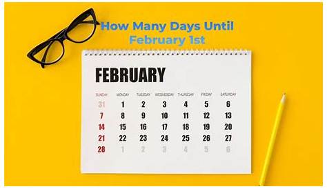 Сколько недель до 1 февраля 2024 года до… Лиззи Керида