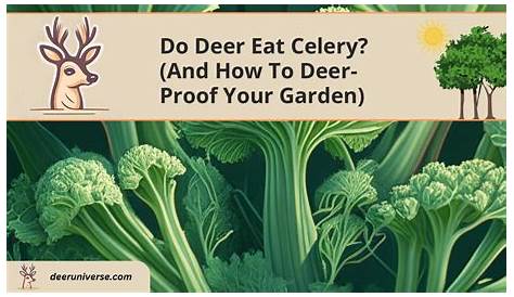 Олени едят сельдерей и как доказать свою садовую вселенную