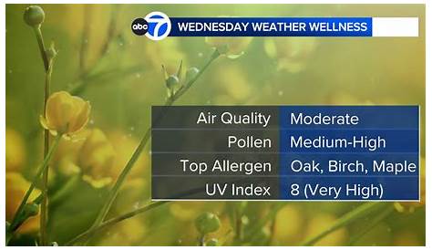 Uv Index Accuweather Качество воздуха Пыльца прогноз Нью-Йорк