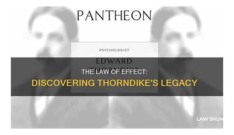 Кто обычно приписывается к открытию закона эффекта Эдвард Торндайк Торндайк Ори Обучение 2025