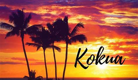 Откройте для себя преимущества Ecourt Kokua %e2%80%93 Основное руководство для пользователей, раскрытые секреты, которые вы не можете пропустить развитие культурных изменений в здравоохранении Часть 1