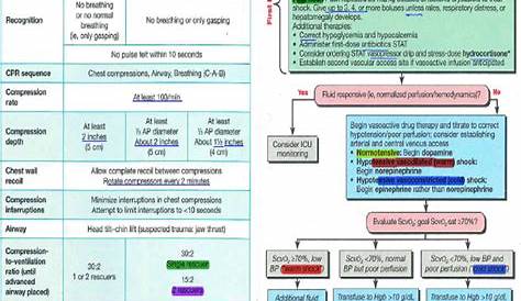 Pals Quizlet Study Guide для прохождения курса Aha’s Course 30 страниц