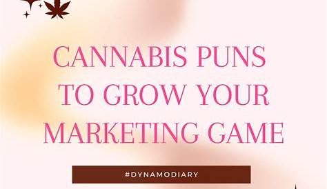 420 Punsindex2 «240+ ‘высоко’ веселых кукол марихуаны, чтобы проложить вам путь через смех»