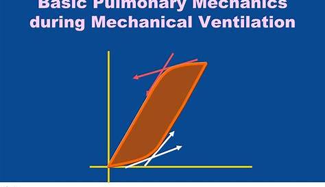 Что происходит, когда вентиляция является недостаточной Pals Ppt Базовая легочная механика во время механической вентиляции