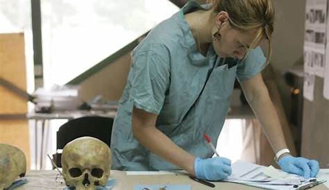 Антропология работы Антропология 10 лучших карьерных путей для исследователей культуры