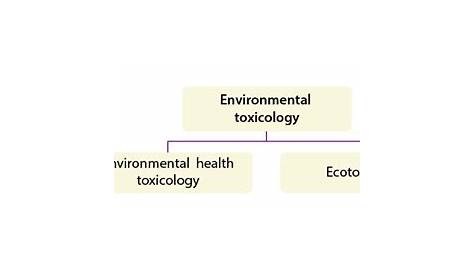 Кто несет ответственность за 2000-летнюю смерть химии Ch 14 Экологическое здоровье и токсикология