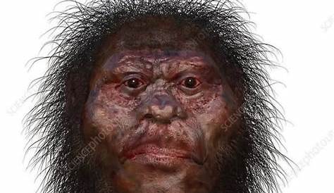 Эти нигги говорят, что они держат Гиа нежити огонь??? в Твиттере Бог, пожалуйста, дайте знать