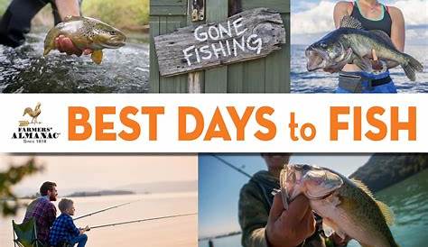 Фермеры Альманаха Рыбалка на сегодняшний день Календарь Линзи Файдра