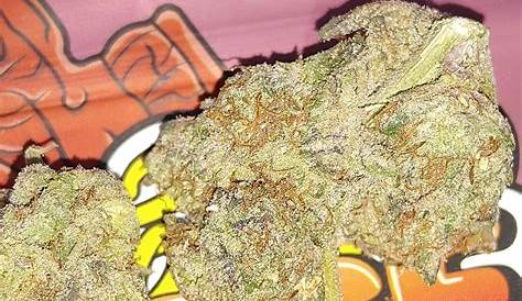 Reddit Michigents Motown Fudge Verde Valley R