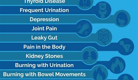 Оксалат, сбрасывающий сыпь, показывает, как влияет на здоровье щитовидной железы доктор Изабелла Вентц Фармд